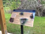 Sign on Threatened and Endangered Animals in the Fellsmere and Sebastian Area