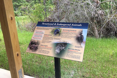 Sign on Threatened and Endangered Animals in the Fellsmere and Sebastian Area